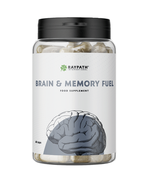 BRAIN & MEMORY FUEL Suplement diety  Raypath