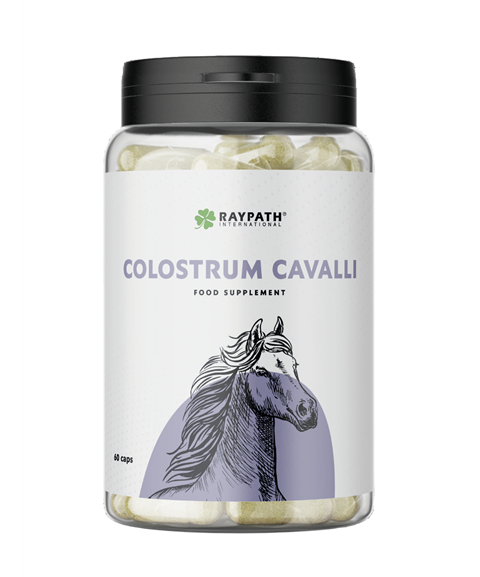 COLOSTRUM CAVALLI Suplement diety Raypath